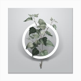 Vintage Silver Birch Minimalist Botanical Geometric Circle on Soft Gray n.0095 Canvas Print