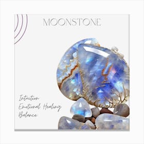 Moonstone Crystal 1 Canvas Print
