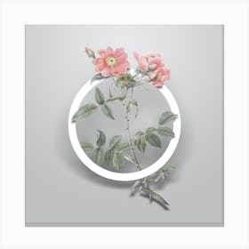 Vintage Lady Monson Rose Bloom Minimalist Flower Geometric Circle on Soft Gray n.0377 Canvas Print
