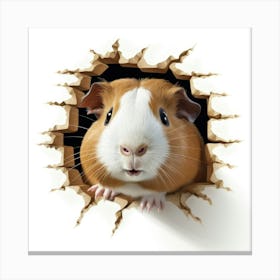 Guinea Pig 5 Canvas Print