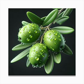 Olive Branch With Water Droplets Canvas Print