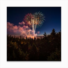 Fireworks In The Sky 2 Canvas Print