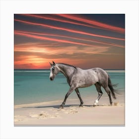 Horse On The Beach At Sunset Canvas Print