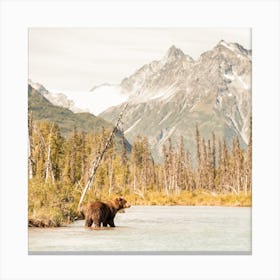 Grizzly Bear In Lake Square Canvas Print