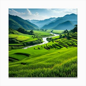 Rice Fields In Vietnam 1 Canvas Print