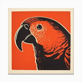 Retro Bird Lithograph Macaw 2 Canvas Print