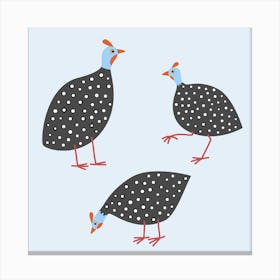 Guineafowl Birds Canvas Print