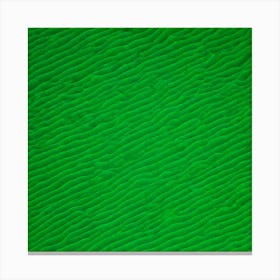 Green Sand Canvas Print