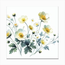 Flowers of buttercup 1 Canvas Print