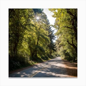 The beauty of the road in the forest Canvas Print