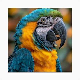 Colorful Parrot 8 Canvas Print