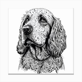 Spaniel Canvas Print