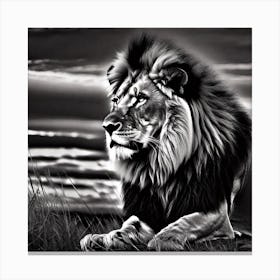 Lion In The Grass 2 Canvas Print