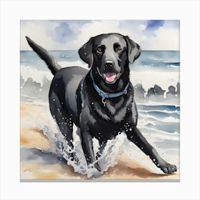 Black Labrador Retriever On The Beach Canvas Print