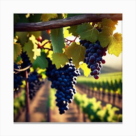 Vineyard Grapes Canvas Print