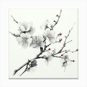 Ink Cherry Blossoms Branches 3 Canvas Print