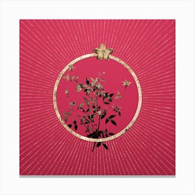 Gold Single Dwarf Chinese Rose Glitter Ring Botanical Art on Viva Magenta n.0185 Canvas Print