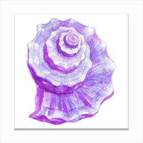 Purple Seashell Canvas Print