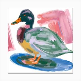 Duck 08 Canvas Print