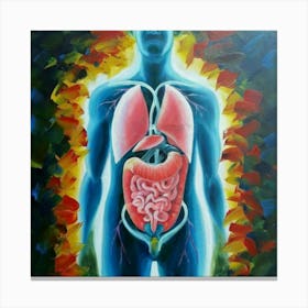 Organs Of The Human Body 2 Canvas Print