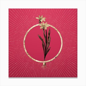 Gold Ixia Liliago Glitter Ring Botanical Art on Viva Magenta n.0117 Canvas Print