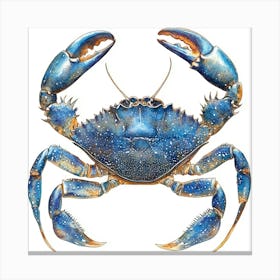 Blue Crab 1 Canvas Print