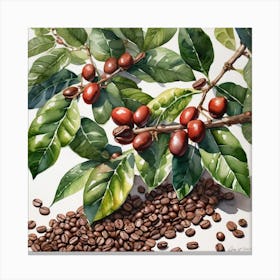 Coffee Beans And Leaves 10 Canvas Print