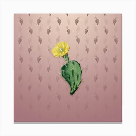Vintage One Spined Opuntia Flower Botanical on Dusty Pink Pattern n.0440 Canvas Print