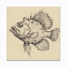 Flamingo Fish Canvas Print