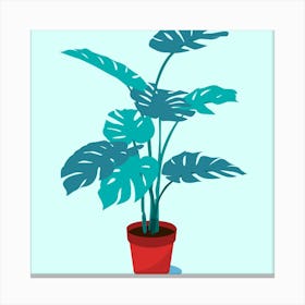 Monstera Plant Canvas Print