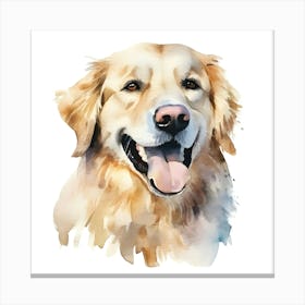 Golden Retriever Watercolor Painting 4 Canvas Print