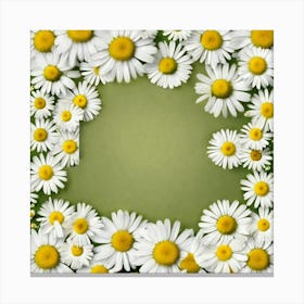 Daisy Frame 2 Canvas Print