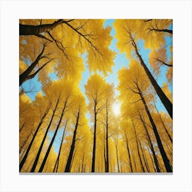 Bosque Cupula De Arboles Canvas Print