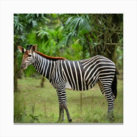 Zebra In The Forest 2 Canvas Print