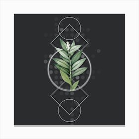 Vintage Smilacina Stellata Botanical with Geometric Line Motif and Dot Pattern n.0400 Canvas Print