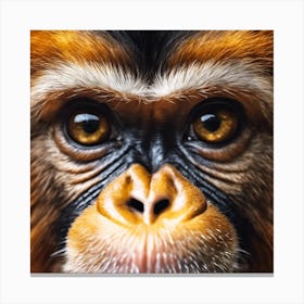 Monkey Face Canvas Print