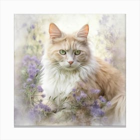 Coon Cat In Lavender Canvas Print