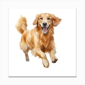 Golden Retriever Dog 4 Canvas Print