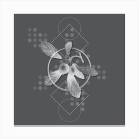 Vintage Crabapple Botanical with Line Motif and Dot Pattern in Ghost Gray n.0044 Canvas Print