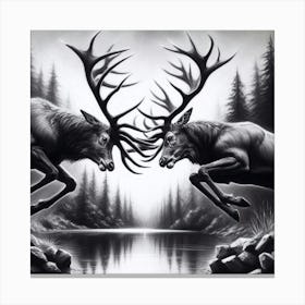 Deer Fighting Canvas Print