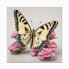 Butterfly of Papilio machaon on flowers Canvas Print