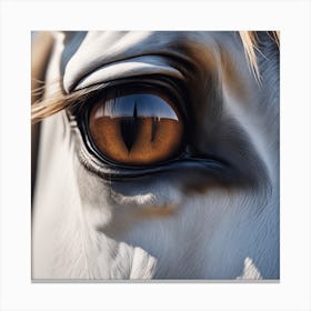 Eye Of A Horse 25 Canvas Print