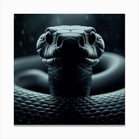 Black Snake In The Rain Canvas Print