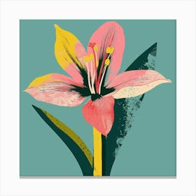 Amaryllis 3 Square Flower Illustration Canvas Print
