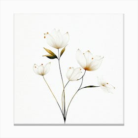 plant minimalist 6 Canvas Print