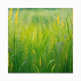 Field Of Wildflowers Canvas Print