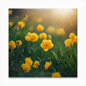 Yellow Daffodils 1 Canvas Print