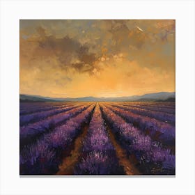 Sunset Over Lavender Fields 1 Canvas Print