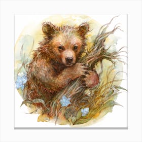 Bear In The Woods 2 Canvas Print