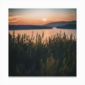 Sunset Over Lake Canvas Print